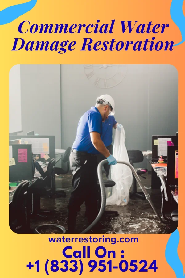 Commercial Water Damage Restoration in East Columbia, TX